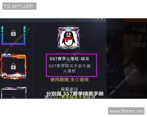 LNG战队精英赛征程回顾与突破之路的深度解析