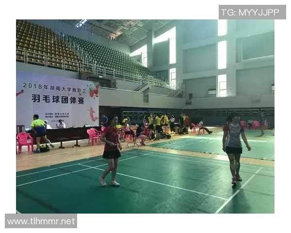 南京羽毛球队转型升级之路：重塑传统与现代的完美结合